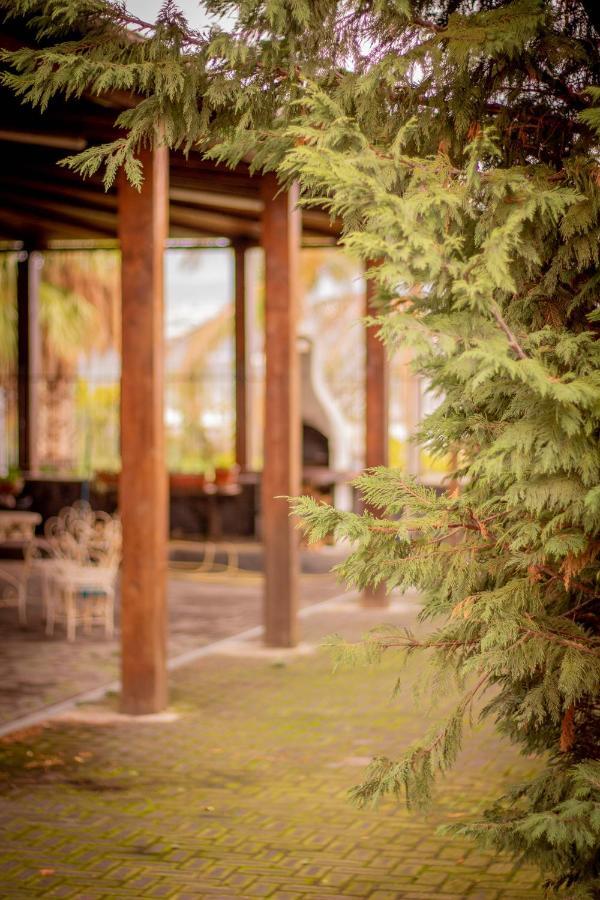 Bed & Breakfast Kalinka Motta SantʼAnastasia Exterior foto